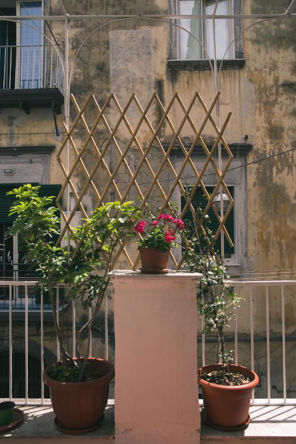 La Casa Del Nespolo, 2 Terrazzi E 2 Bagni In Centro Appartement Napels Buitenkant foto